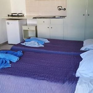 Studio Lit King-Size
